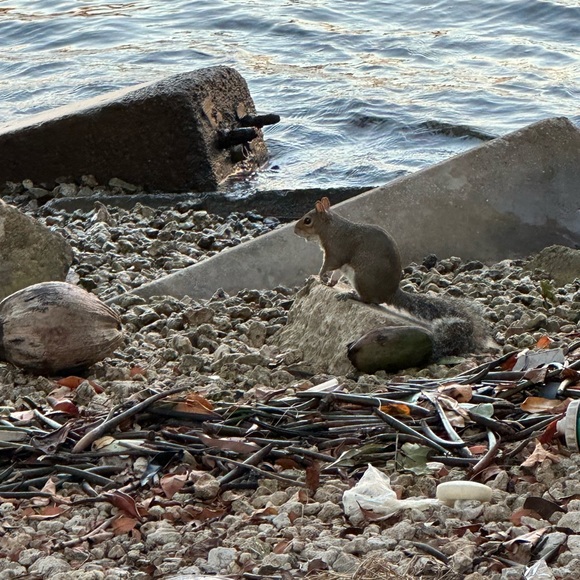 HI GUYS IM POTIT I USED POSH SIDEKICK TO SHARE MY CLOSET USED MY  REFERRAL CODE - Picture 9 of 16